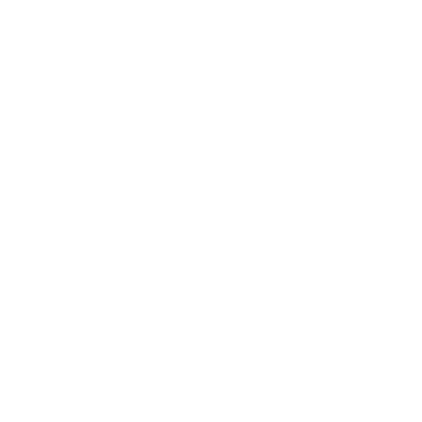 REPUTATION SCORE