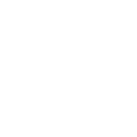 REPUTATION SCORE